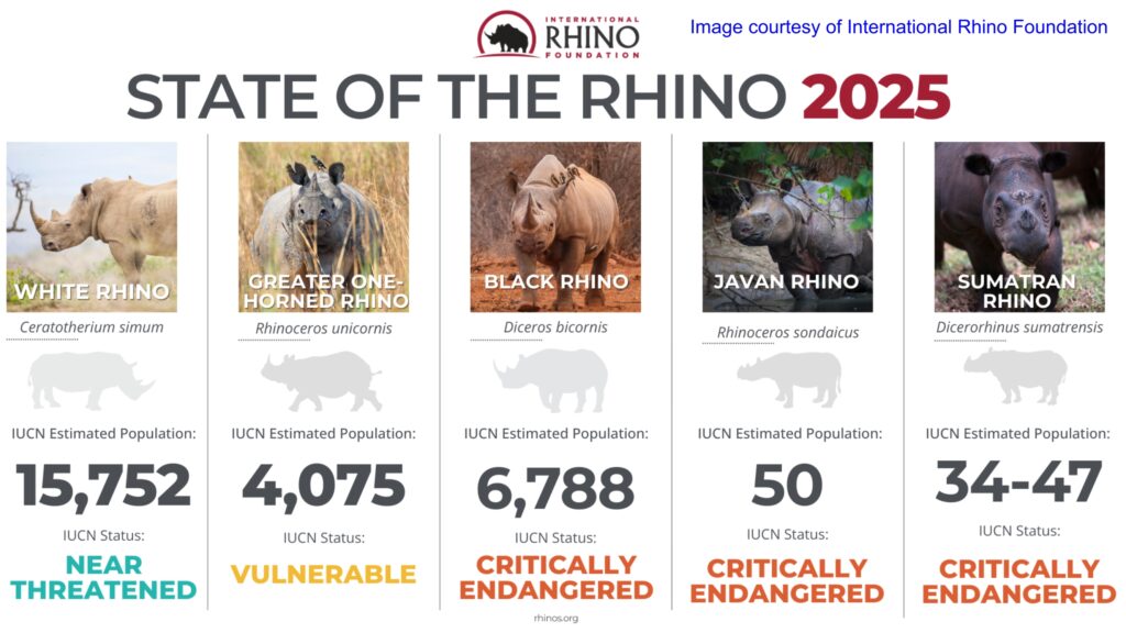 State of the Rhino 2025